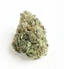 MANGO NUKEN