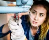 Need Blocked Drains fixed? Here's what you need to know plumbing at its best in Richmond - Need Blocked Drains fixed? Here's what you need to