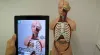Challenges Of Adopting AR In Education - BiztechCS