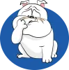 French Bulldog Skin Irritation Care