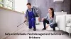 Safe and Reliable Pest Management Services in Brisbane – SmallBizBlog