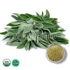 organic sage powder, sage powder, bulk sage powder, top sage powder