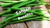 Sahjan Benefits According To Ayurveda For Your Health
