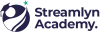 Streamlyn Academy - Digital Marketing Courses in Bangalore