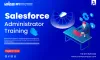 Salesforce Administrator