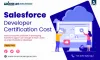 Career Options After Salesforce Certification 