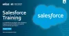 Why Is Salesforce Training Important For Businesses Today?