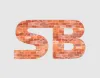 Salt-Bricks-Logo-Image