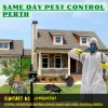 Same Day Pest Control Perth