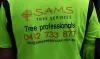 Get the Tree Services and Pay Later