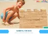 Sand Pal