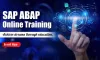 What is SAP Architect?