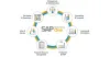 SAP B1