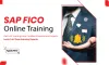 What is the work environment of an SAP FICO developer?