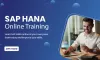 Which SAP HANA Certification to go For? - IT Training Courses