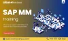 List the Reasons Behind the Popularity of SAP MM