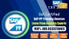 Best SAP PP Training in Noida.