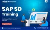 Explain the Evolution of SAP SD So Far 