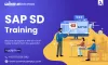 Unlocking Business Success with SAP SD: The Importance of SAP SD Training - Article Book