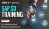 Overview of SAP SD (Sales and Distribution) - Net Naija