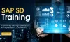 Mastering Global Trade Management with SAP SD: Strategies and Insights - Search My Post: Discover Guest Blogs