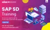 Why SAP SD is Highly in Demand?