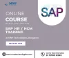sap HR / HCM training in Bangalore