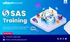 SAS Training Institute in Delhi