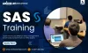 Highlighting the Surge in Demand for SAS