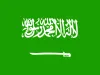 Saudi Arabia eVisa for Dutch Citizens
