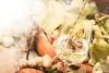 Sauvignon Blanc from Yarra Valley - Chauffeur Drive, Melbourne, Yarra Valley
