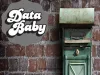 Improvise Your Direct Marketing Strategy With Data Baby