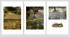Sidewalk Safety in NYC: Why You Need Expert Contractors? - businesstrickseasy