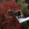 Tree Removal - Arbor Plus