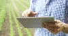 Small Business Accountants Wellington | Agar Fenwick | NZ