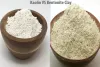 What Is the Difference Between Kaolin and Bentonite Clay?