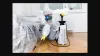Pest Control Melbourne