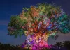 Tree removal Maryland