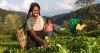 Climate action | Community resilience | Women’s empowerment | Peace | Sustainable Development