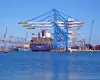Ocean Freight Services: Facts You Need To Know