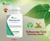 Wound Care for Sebaceous Cyst