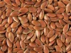 Organic Flax Seed Manufacturers, Suppliers &amp; Exporters