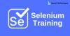 Selenium Training in Chennai | Best Selenium Training Institute in Chennai