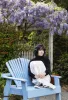 Nelsen's Photographic Design