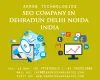 seo company in dehradun delhi noida india