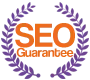 SEO Services Delhi | BrainCube - Money Back Guarantee