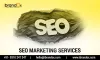 Top SEO Company in Gurgaon: Transform Your Business with iBrandox