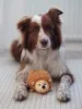 What to do if my dog is anxious home alone