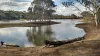 Serendip Sanctuary Lara, Geelong