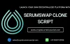 SerumSwap Clone Script | Create DEX platform like Serumswap